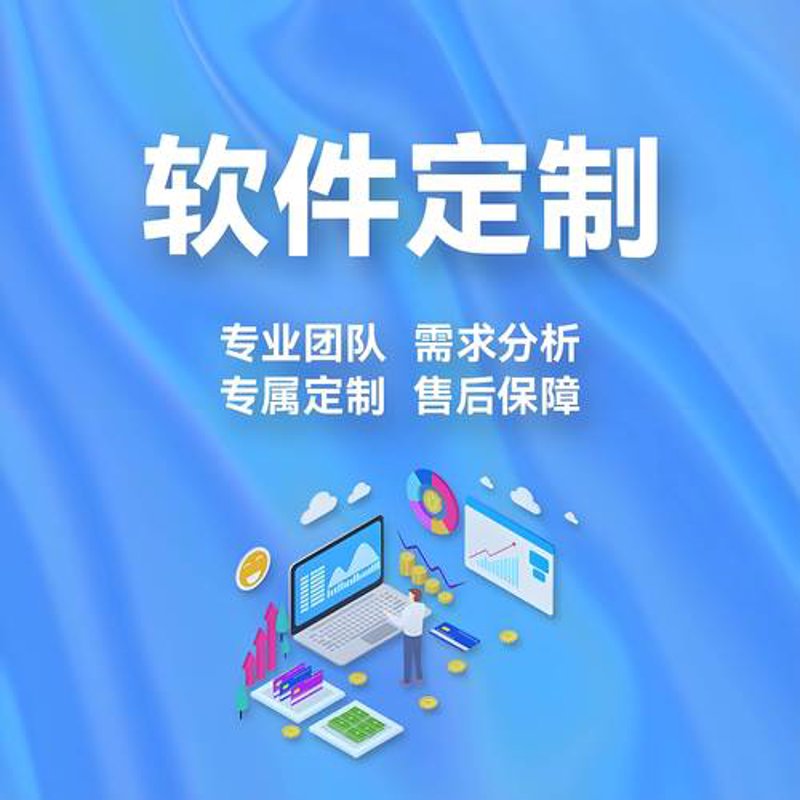 软件定制开发引领未来