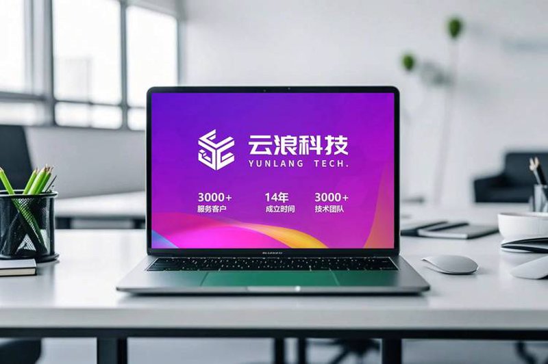 软件定制开发